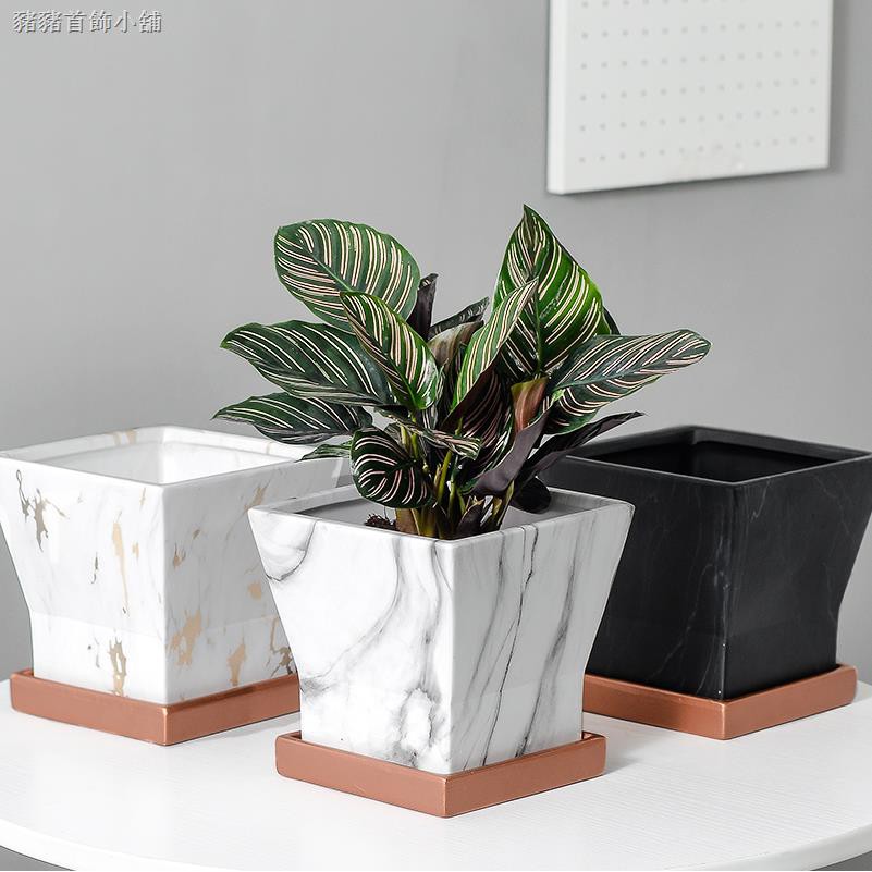 大理石花盆 成匠北歐大理石紋四方花盆方形陶瓷有孔帶托盤大口徑室內蘭花植物 蝦皮購物