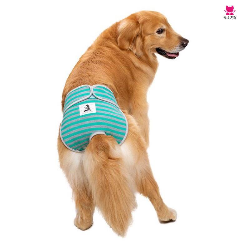 大型犬生理褲 Ptt Dcard討論與高評價網拍商品 21年10月 飛比價格