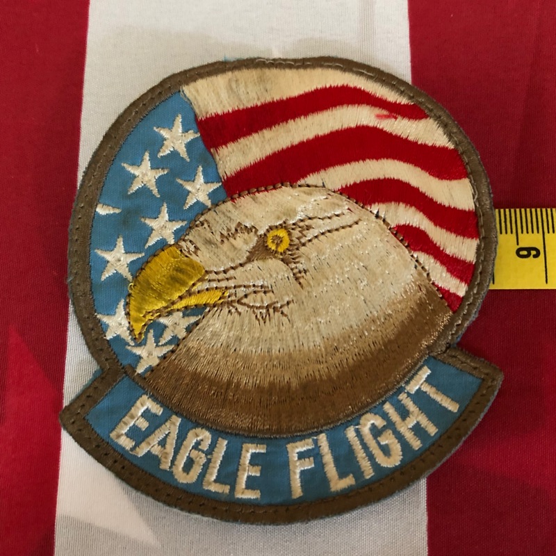 🇺🇸美軍公發 F-15 EAGLE FLIGHT 空軍AFB飛行員 胸/臂章 縫製款  （飛行外套專用）美軍流出品