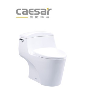 C1353 省水單體馬桶 奈米抗汙 抗菌CAESAR 凱撒衛浴
