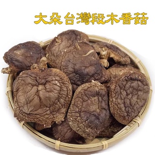 -大朵臺灣段木香菇-又稱柴菇、木頭菇，南投縣仁愛鄉奧萬大產的原木香菇，產量少，肉身雖薄，味道香濃。【豐產香菇行】