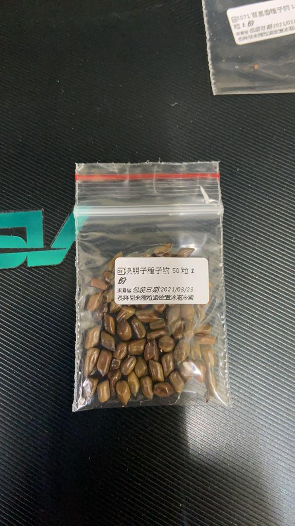 決明種子決明決明子草決明馬蹄決明假綠豆 農產種子郵購讚 蝦皮購物