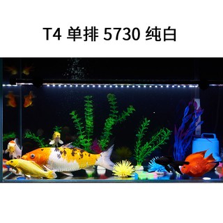 超亮led魚缸潛水燈水族箱防水草缸燈led小型三基色紅色水中照明燈 蝦皮購物