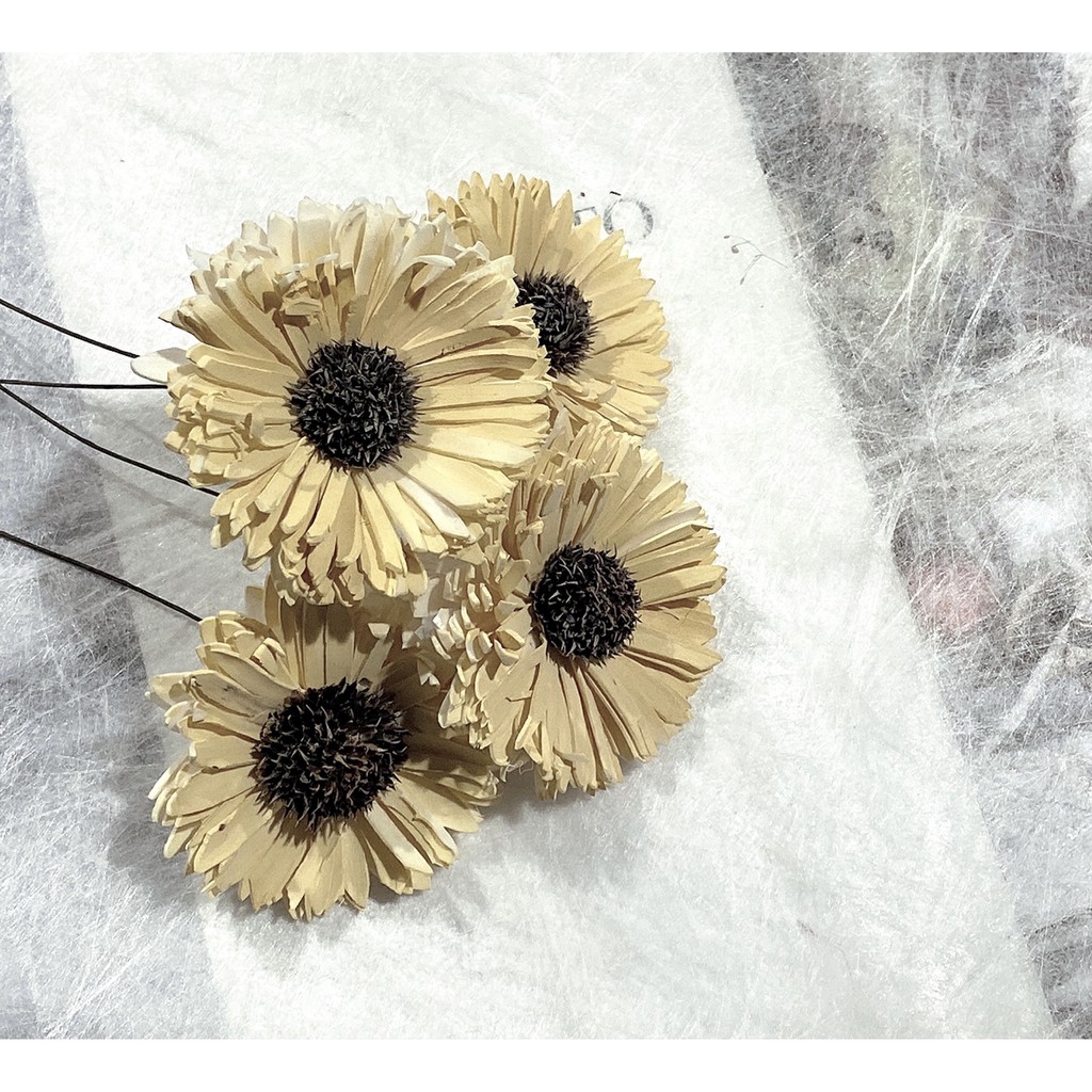 夏 花charice Flora 乾燥花 乾燥花材 索拉花 太陽花 索拉向日葵 手工花 手作素材 乾燥花素材 蝦皮購物