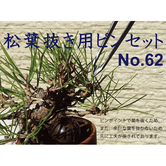 峰松園藝 盆栽松葉抜きピンセット 兼進作 直210mm No 62 松葉鋏 蝦皮購物