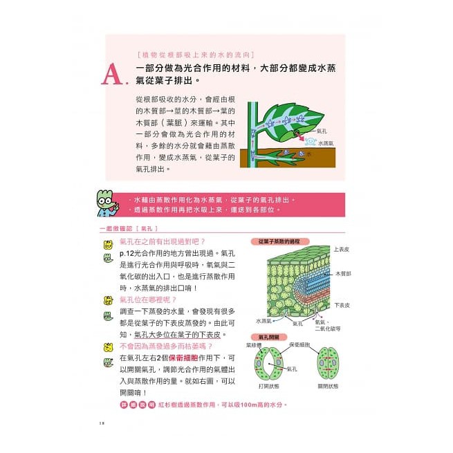 和平國際 神解 一點就通 中學理科拿高分 中小學生必備 了解 關鍵知識 就能記住不忘 輕鬆攻略生物 化學 物理 地科 激 蝦皮購物