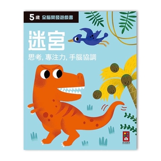 ⭐️現貨《風車》五歲迷宮：全腦開發遊戲書🍓甜蜜樂園