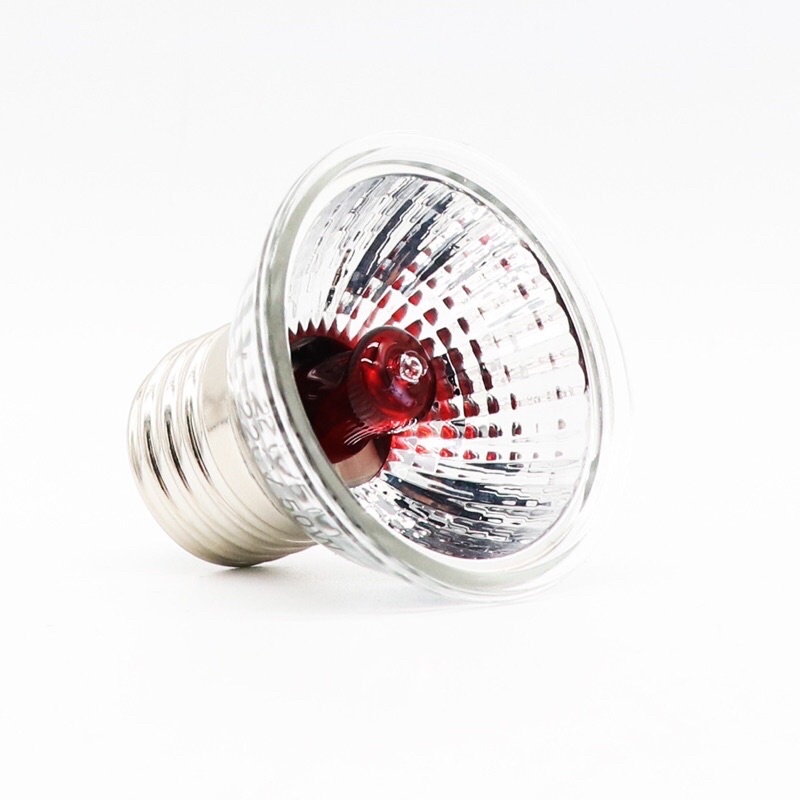 110V小紅外線燈泡 保溫燈 寵物爬蟲 保溫燈 加熱燈 聚熱燈泡 紅外線加熱燈 曬背燈