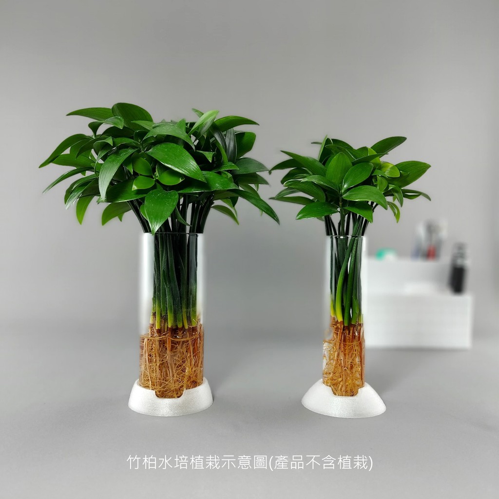 療癒系水培花器 水耕花瓶 玻璃花器 玻璃花瓶 小盆栽容器 小盆栽花瓶 蝦皮購物
