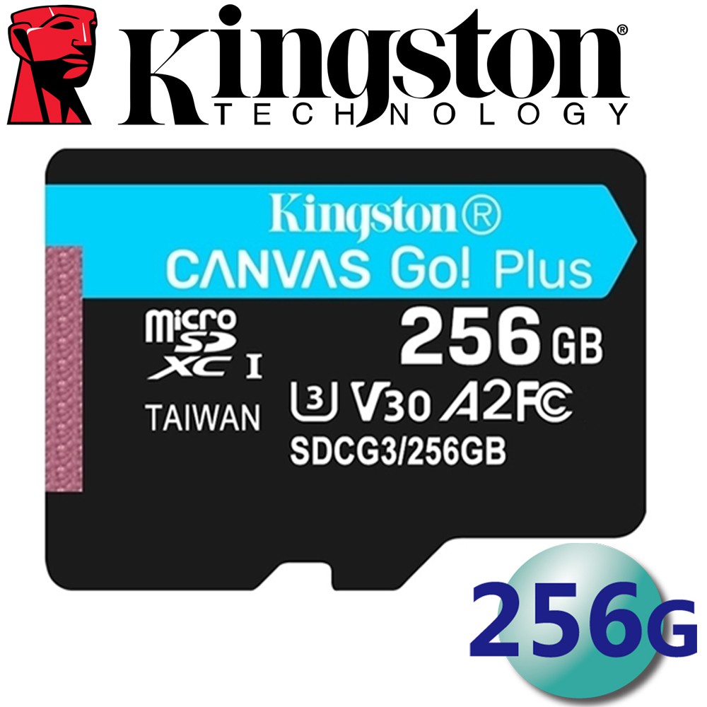 【公司貨 現貨】Kingston 金士頓 256G 256GB microSDXC TF U3 V30 A2 記憶卡