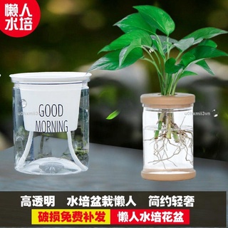 優惠價簡約自動吸水懶人水培花盆透明塑膠綠蘿水培花瓶水養植物盆栽器皿u0hxmii3vn