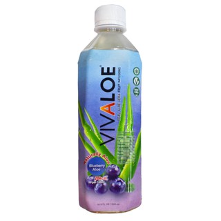 【VIVALOE】藍莓蘆薈果汁飲料 500ML - 店出-City'super