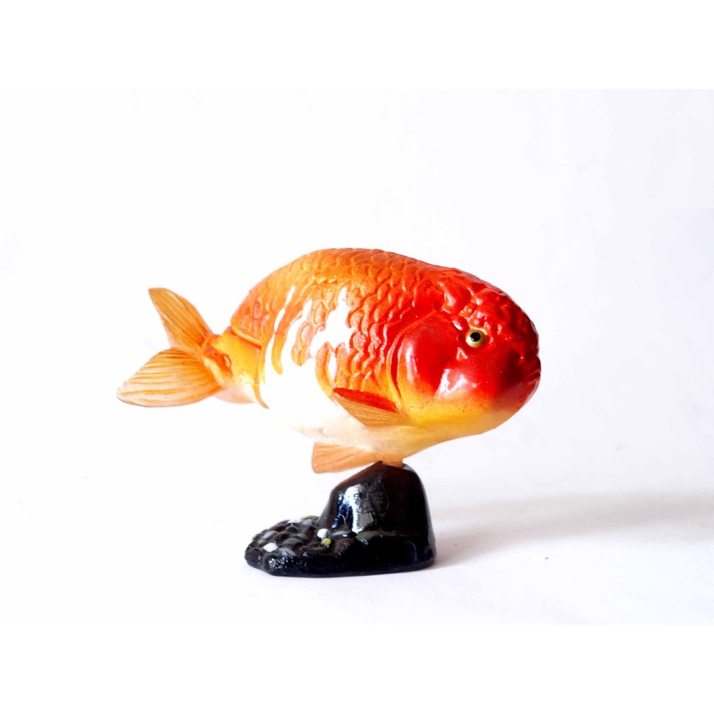 A 218 櫃現況品 海洋堂furuta 寵物動物collection 第1彈更紗蘭壽金魚富貴玩具店 蝦皮購物