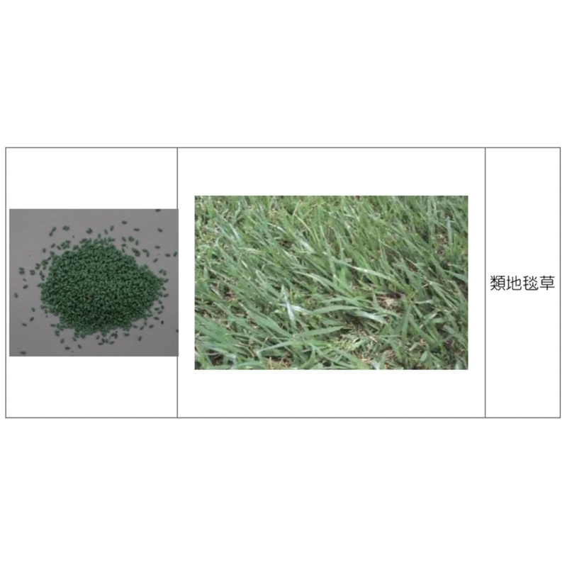 地毯草/一公斤/草皮種子/永吉種苗園