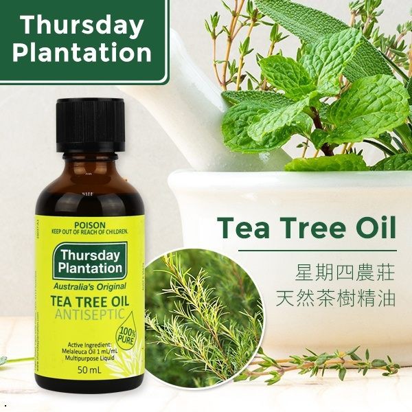 澳洲 Thursday Plantation 星期四農莊 茶樹精油 50ml【櫻桃飾品】【29980】