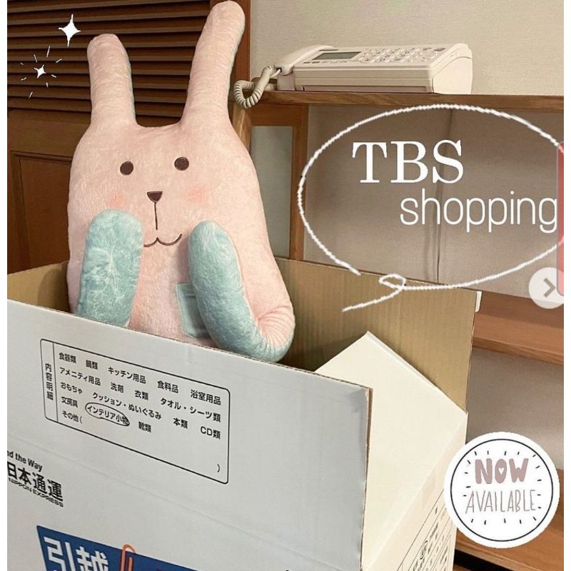 現 代rab 兔兔抱枕 離婚活動 劇中登場rab Craftholic 兔兔抱枕北川景子瑛太tbs限定款リコカツ 蝦皮購物