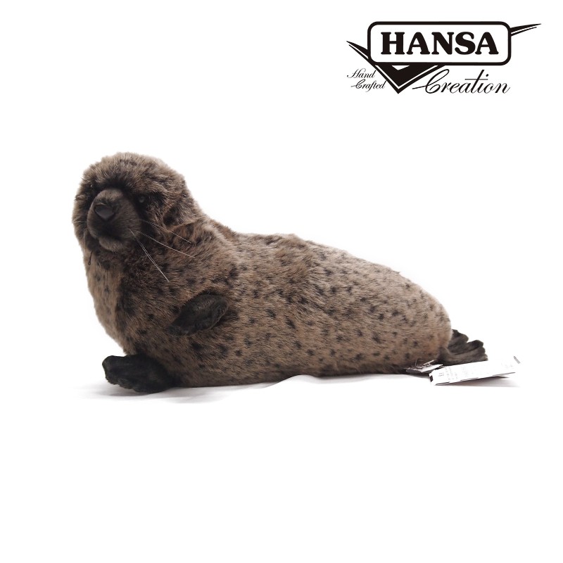 Hansa 4271-夏威夷僧海豹38公分