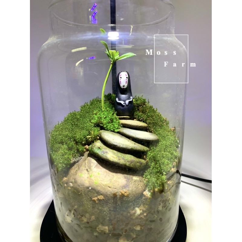 已售可客製《微觀世界- Moss.Farm 苔蘚生態瓶（ 石砌）禮物、觀賞、懶人植栽、辦公室小物、微景觀、苔蘚、手作