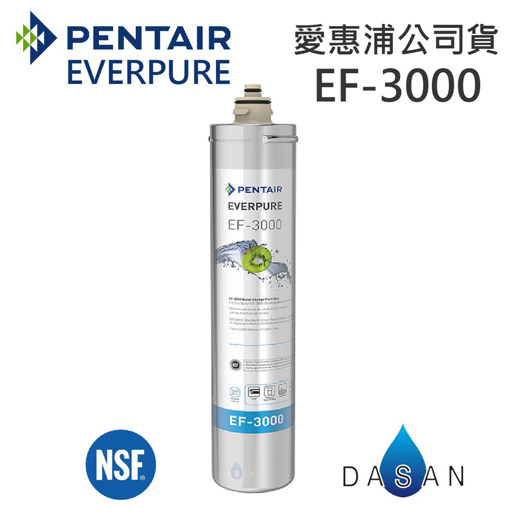 【台灣愛惠浦】EF-3000 EF3000 濕式碳纖活性碳 金色雷射標籤  EVERPURE 濾芯 贈小七禮卷300