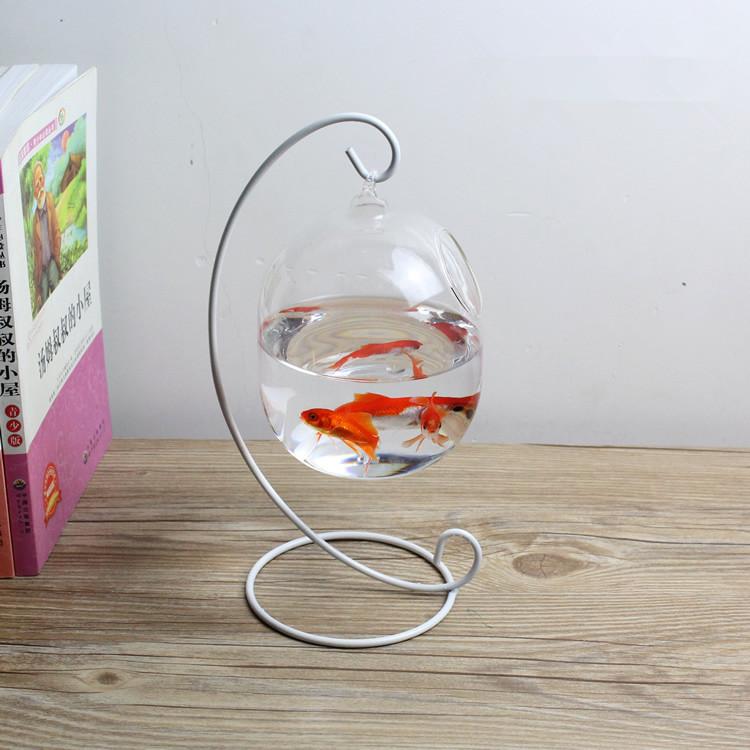 免運 多款手工創意魚缸花瓶多肉鬥魚金魚孔雀魚空氣鳳梨裝飾玻璃禮物禮品耶誕聖誕交換禮物 蝦皮購物