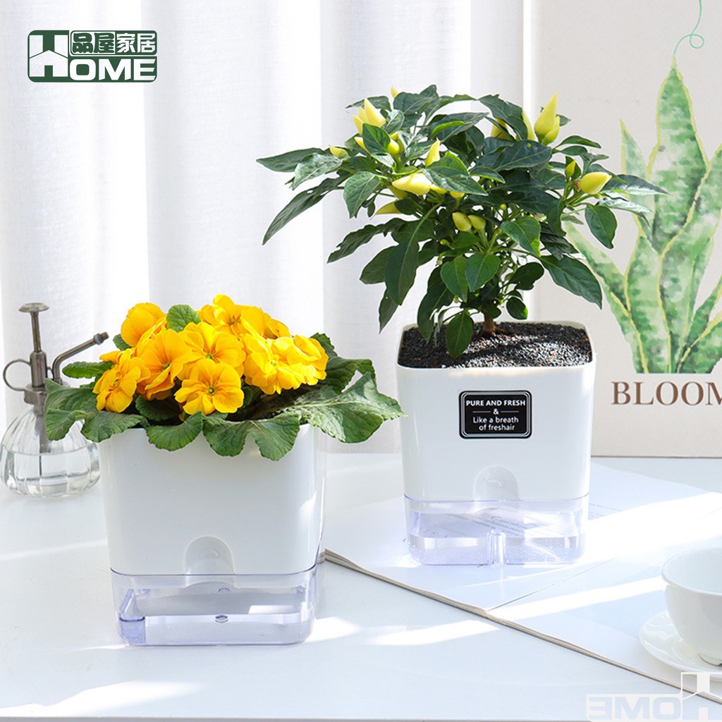品屋 新品現貨花盆懶人花盆透明花盆白色花盆花器盆栽容器園藝免澆水方形花盆自吸水好養活塑膠盆