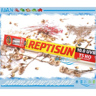 【魚店亂亂賣】美國ZOO MED兩棲爬蟲專用T5生態燈管UVB 10.0(提供UVB/UVA)54W