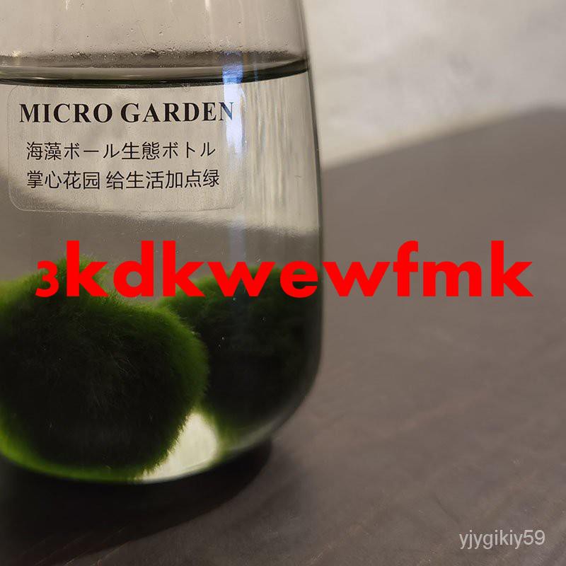 淡水水草 拍賣 評價與ptt熱推商品 21年6月 飛比價格