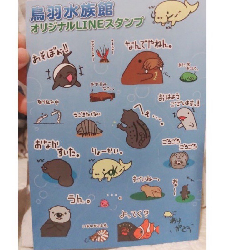 ✤鳩日堂 日本鳥羽水族館 限定貼紙 海洋動物貼圖 日本貼紙 日本帶回