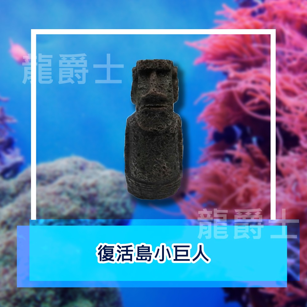 ✨現貨✨[龍爵士水族]復活島小巨人 裝飾品 造景 擺飾 飾品 擺件 魚缸造景 魚缸擺飾 魚躲藏 D9