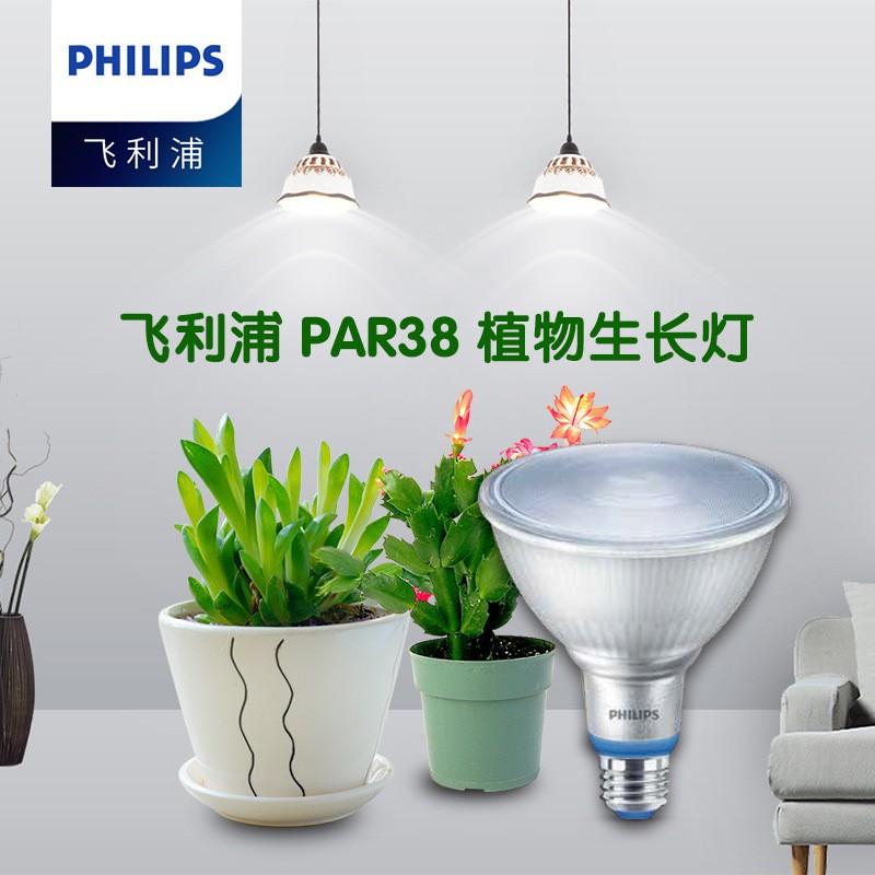 【品 牌】Philips飛利浦PAR38全光譜LED植物生長燈E27螺口16W蔬菜補光燈泡