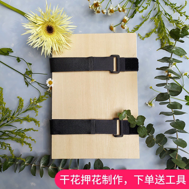 押花器植物標本製作工具手工幹花diy套裝押花板壓花器乾燥板押花 壓花器 押花器 Diy材料 蝦皮購物
