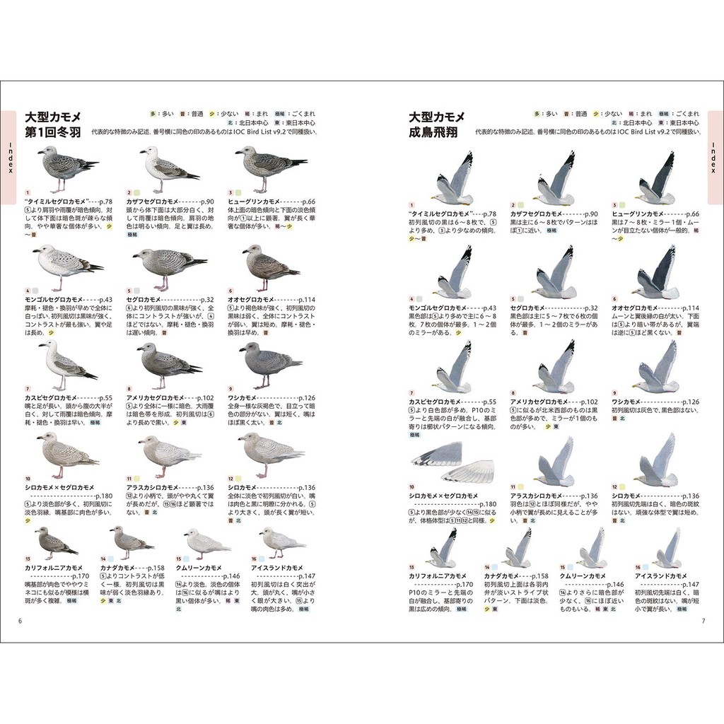 決定版 日本のカモメ識別図鑑 日本のカモ識別図鑑 蝦皮購物