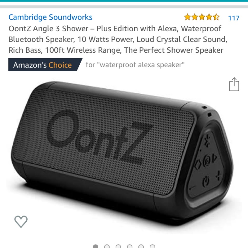 OontZ Angle 3 Shower Plus Edition with Alexa support