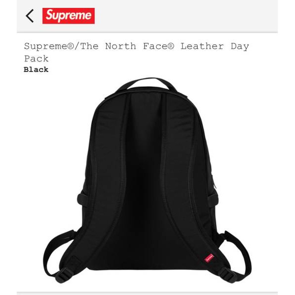 the north face leather backpack