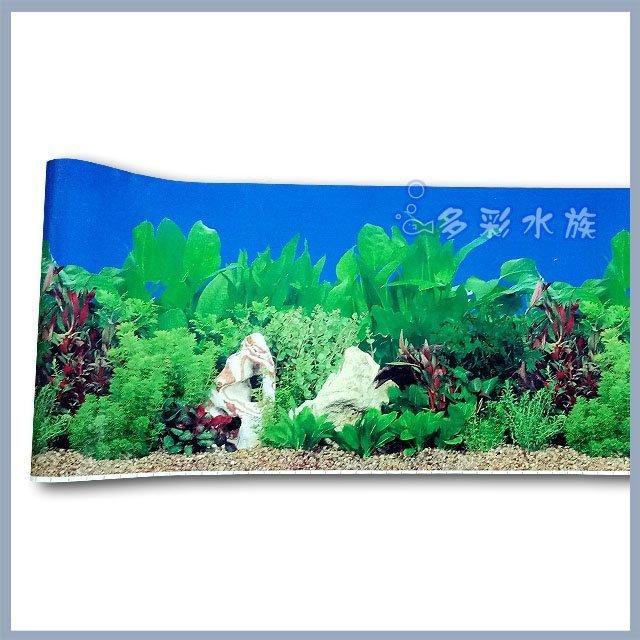 多彩 雲水族⛅嚴選《水草景、海水珊瑚景 雙面背景圖》防水塑膠材質 兩面 造景圖，魚缸背景，背景板