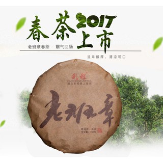 🔥臺灣出貨🔥 普洱茶生茶 [彩程] 2017老班章 300年古樹頭春 100克 生餅