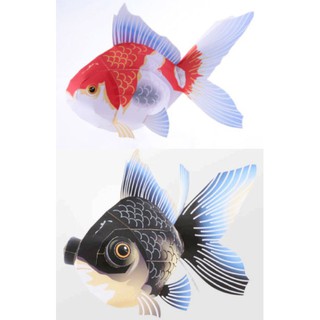 Rotifer 浮游生物 蝦皮購物