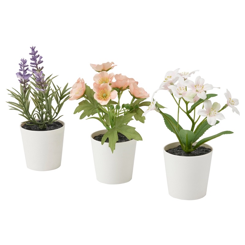 Ikea 人造小盆栽3入塑膠花多肉植物開店櫃檯擺飾租屋佈置 蝦皮購物