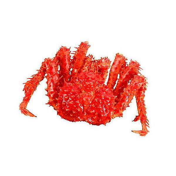 【萬象極品】帝王蟹/約2kg以上/隻 蟹肉鮮甜滋味讓人吮指回味 來犒賞自己一下