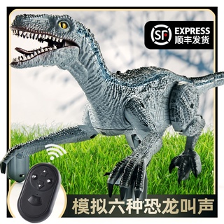 恐龍玩具恐龍玩具男孩模擬爬行遙控霸王龍模型大號電動迅猛龍兒童動物套裝