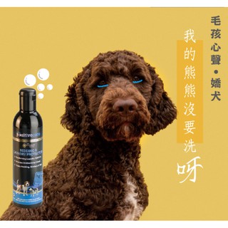 Positivecare 毛管家【睡墊衣物玩具】毛主婦織物防護液 無藥性 酒精 不含漂白水 性質溫和 對寵物無刺激