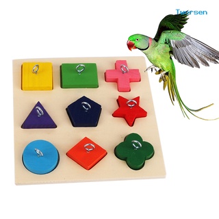 [笑笑萌寵] 熱銷 鸚鵡訓練玩具 9格彩色木塊 益智玩具 DIY玩具配件