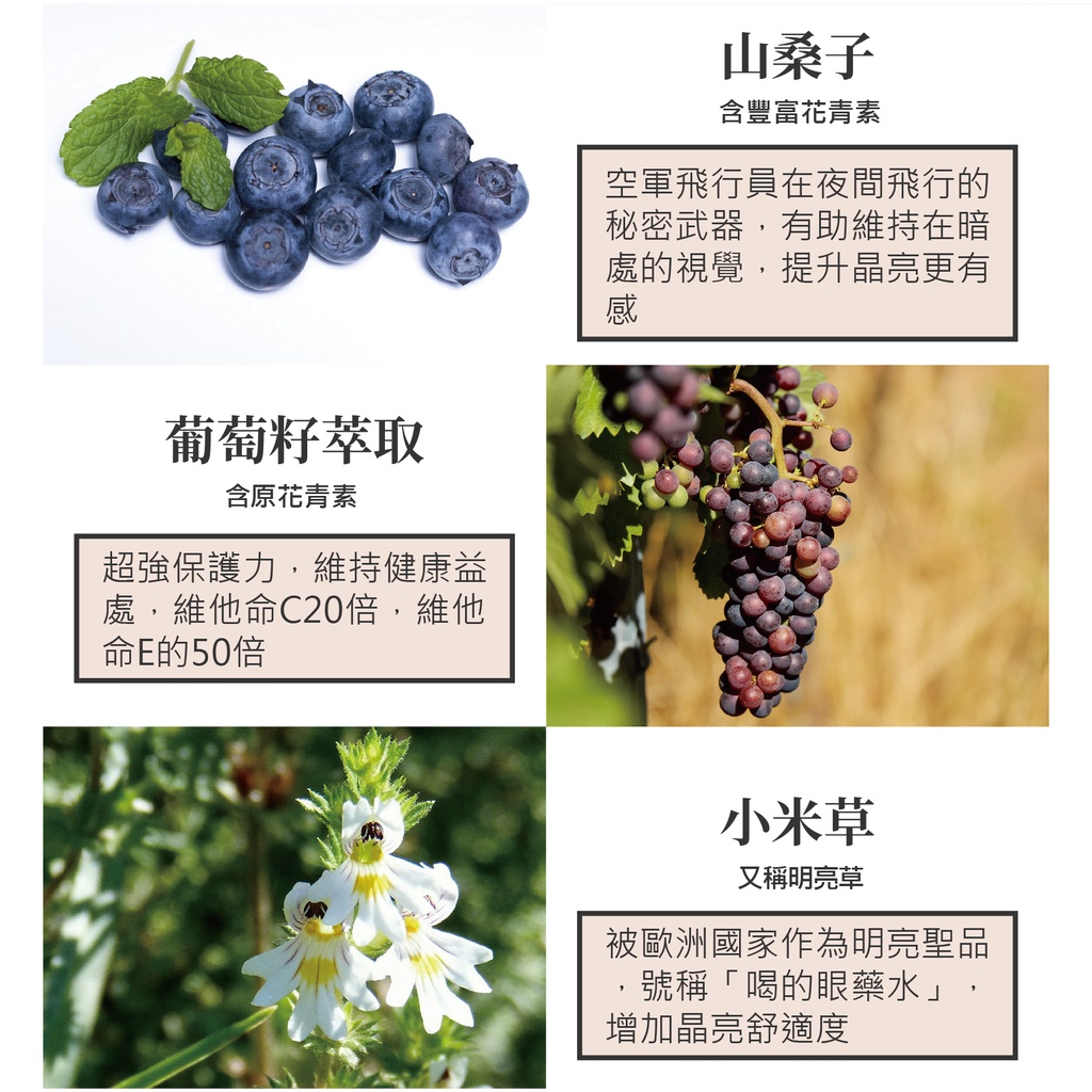 金盞花葉黃素膠囊60粒海淨亞brillo多國專利認證游離型小分子含蝦紅素花青素山桑籽 蝦皮購物