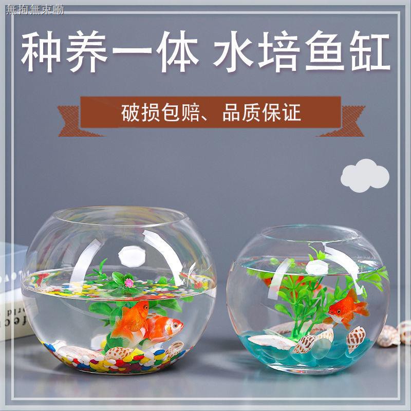 魚缸透明玻璃辦公桌創意客廳圓形龜缸小型烏龜迷你桌面金魚小魚缸 蝦皮購物