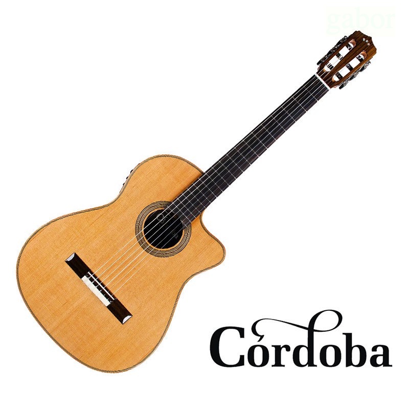 美國品牌 Cordoba Orchestra CE 紅松單板 39吋 跨界 古典吉他【黃石樂器】
