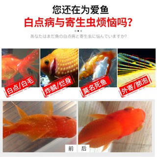 亞甲基藍魚藍精粉觀賞魚金魚血鸚鵡魚缸甲基藍藥水族專用日本黃粉 蝦皮購物