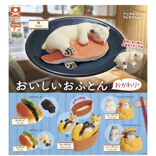 acorn toy shop