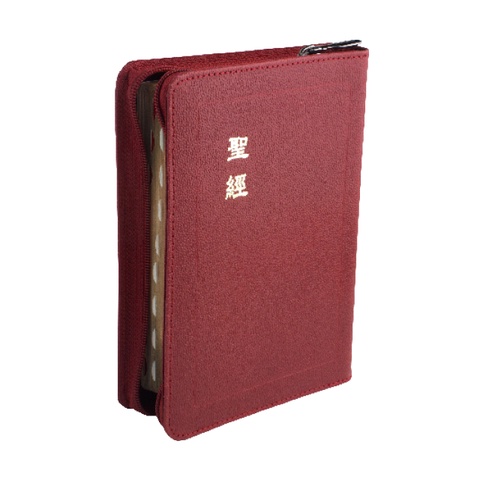 【中文聖經和合本】和合本 神版 輕便型 拇指索引 紅色皮面拉鍊金邊CU57AZTIRD