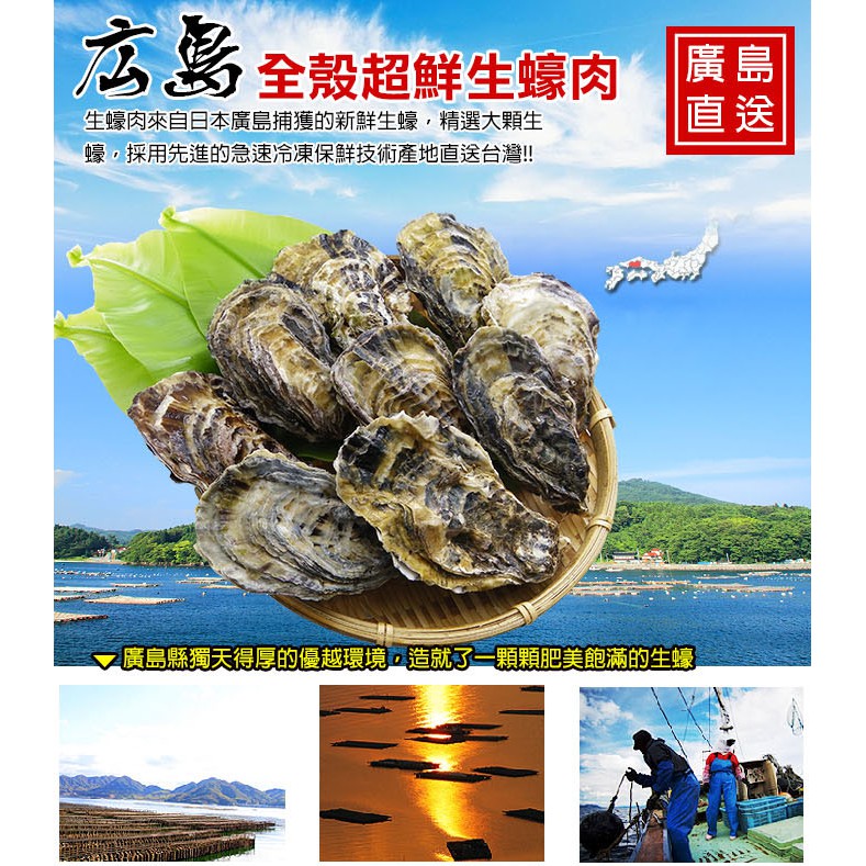 馬姐漁舖 廣島帶殼牡蠣1kg 蝦皮購物