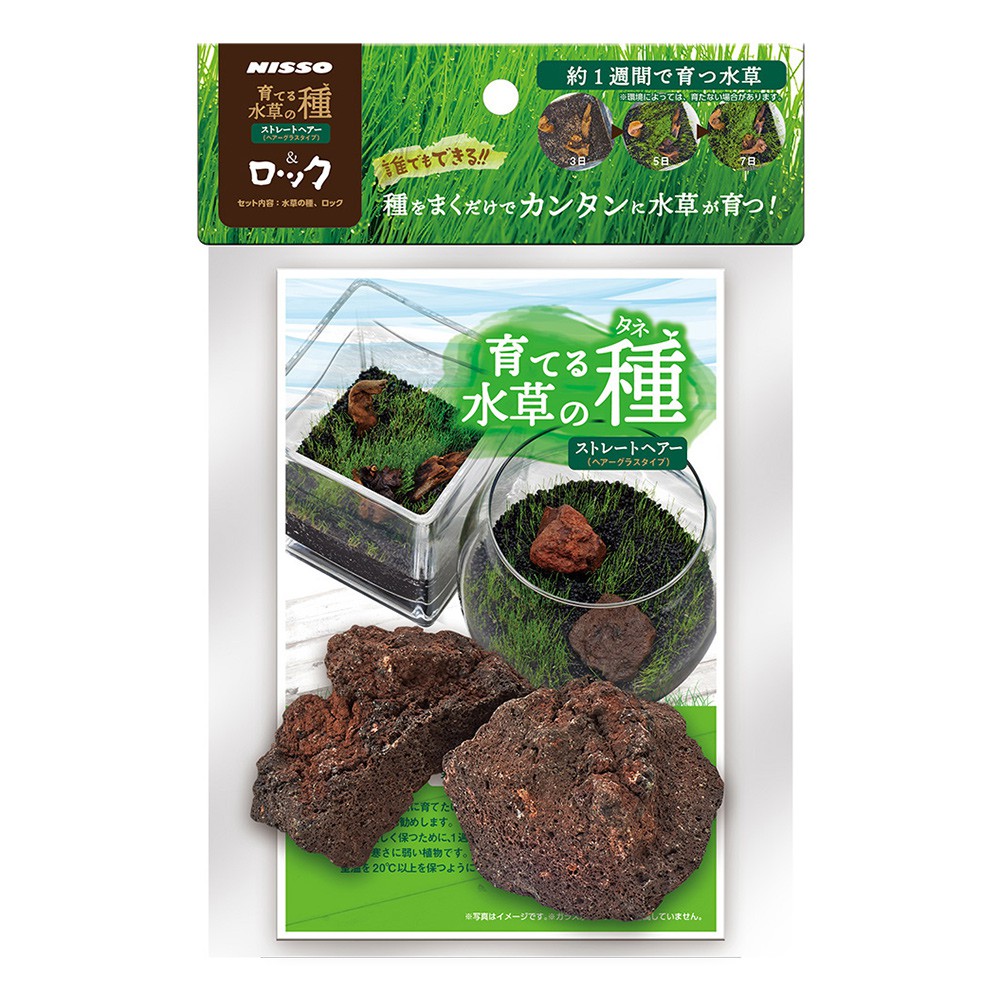 @墨耘@日本NISSO尼索 草皮培養石頭 $620 N-NAW-183 含種子